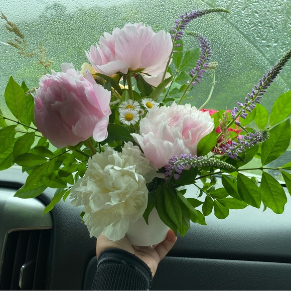 Meet your Posher, Ivy - Picture 1 of 1